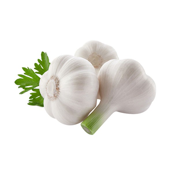 Fresh Garlic