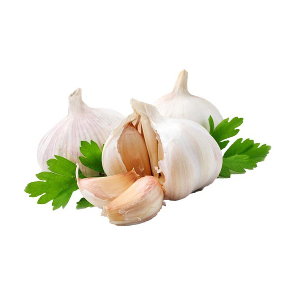 Organic Garlic Pack