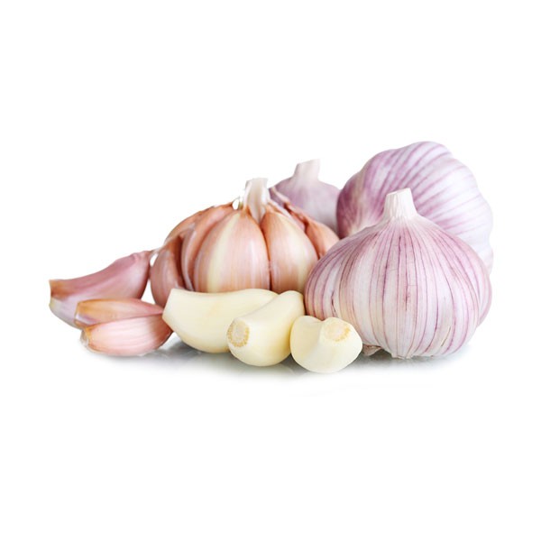 Premium Garlic Bulbs